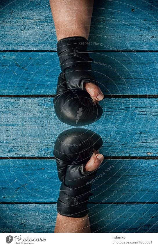 two fists in boxing gloves facing each other Sports Success Human being Man Adults Hand Fingers 1 30 - 45 years Old To talk Athletic Blue Competition