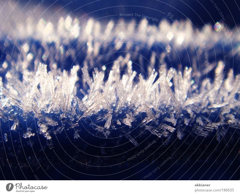 Ömers ice crystals Environment Climate Weather Beautiful weather Ice Frost Bright Blue White Ice crystal Cold Crystal Colour photo Exterior shot Close-up