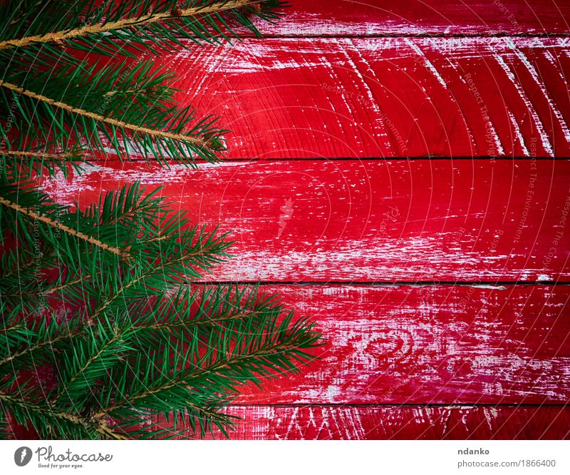 Red wood background with branch fir Winter Decoration Table Feasts & Celebrations Christmas & Advent Tree Wood Old Bright New Green Colour Idea Creativity
