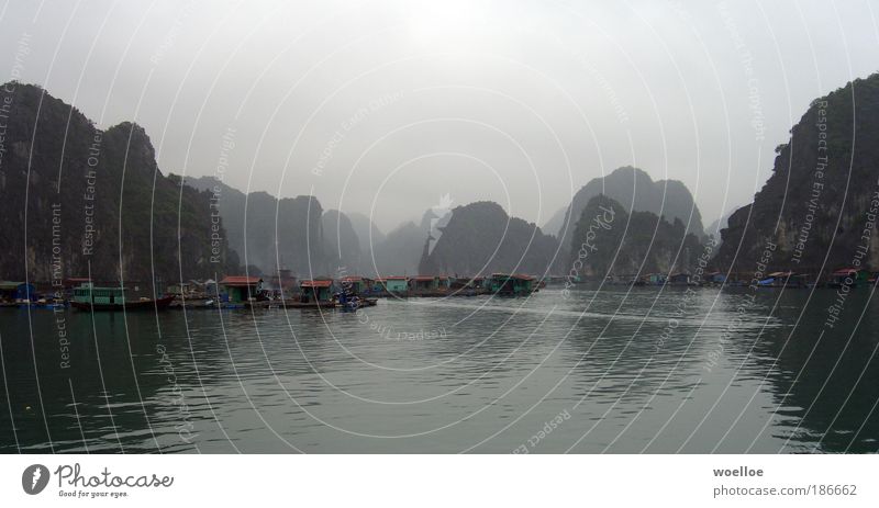 Fishing village in Halong Bay, Vietnam Vacation & Travel Ocean Island Nature Landscape Water Sky Clouds Bad weather Fog Rock Canyon Coast Gulf of Tonkin