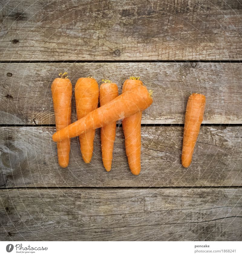 everything that counts Food Vegetable Nutrition Nature Wood Healthy Carrot 6 Digits and numbers Numbers Wooden board Wooden wall Colour photo Exterior shot