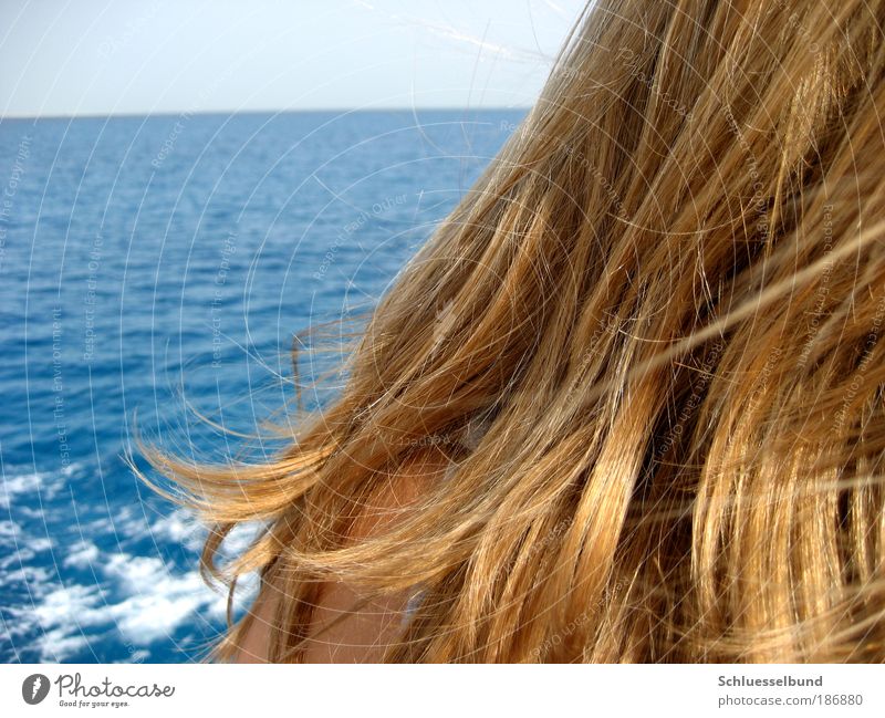 red sea Well-being Contentment Vacation & Travel Freedom Cruise Summer Sun Ocean Waves Human being Feminine Young woman Youth (Young adults) Skin Head Back 1