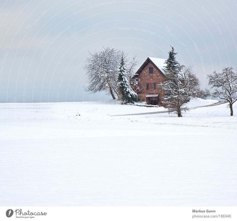 Refuge in white Relaxation Calm Vacation & Travel Winter Snow Winter vacation Flat (apartment) House (Residential Structure) Nature Landscape Tree Field
