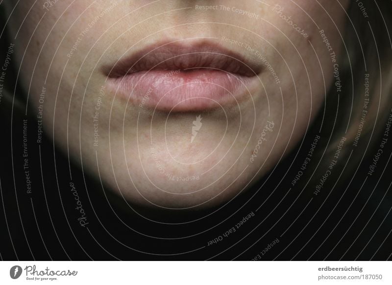 Silence is golden. - Close-up of facial detail with mouth and chin in desaturated colors Face Without makeup Harmonious Senses Calm Feminine Woman Adults Skin