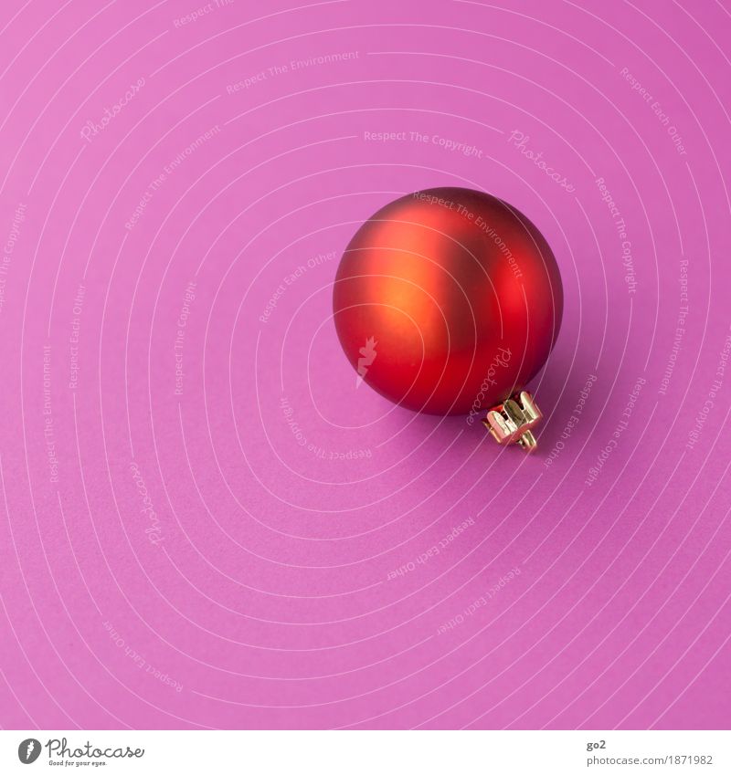 Christmas ball red Christmas & Advent Decoration Sphere Esthetic Round Violet Pink Red Anticipation Christmas decoration Christmas gift Colour photo