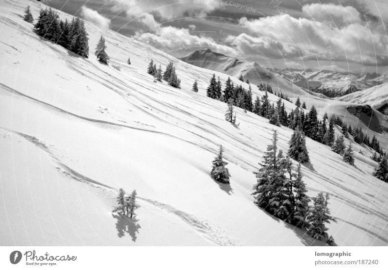 downhill run Nature Landscape Clouds Winter Snow Tree Rock Alps Mountain Kitzbühel Alps Peak Snowcapped peak Glacier Cold Black White Calm Ski run Ski tour