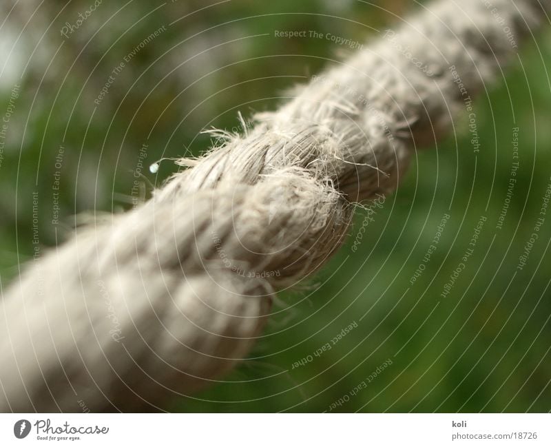mooring rope Depth of field Across To hold on Macro (Extreme close-up) Close-up Rope String knot