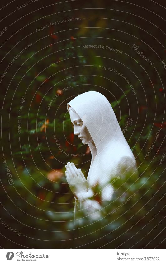 Santa Maria Feminine 1 Human being Sculpture Nature Tree Bushes Virgin Mary Stone Sadness Esthetic Exceptional Green White Goodness To console Calm Purity Hope