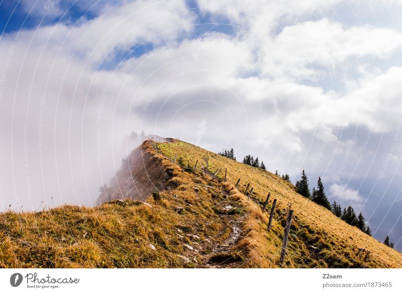 tightrope walk Mountain Hiking Environment Nature Landscape Clouds Sun Autumn Fog Alps Peak Canyon Threat Gigantic Tall Loneliness Adventure Relaxation Idyll