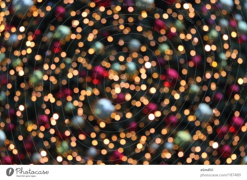 christmaslights Disco ball Gold Glittering Illuminate Multicoloured Red Silver Moody Happy Contentment Anticipation Belief Light Christmas & Advent shine