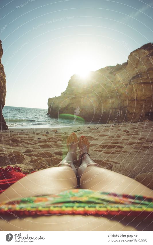 sunbath Well-being Contentment Senses Relaxation Calm Vacation & Travel Tourism Summer Summer vacation Sun Sunbathing Beach Ocean Feminine Woman Adults Legs
