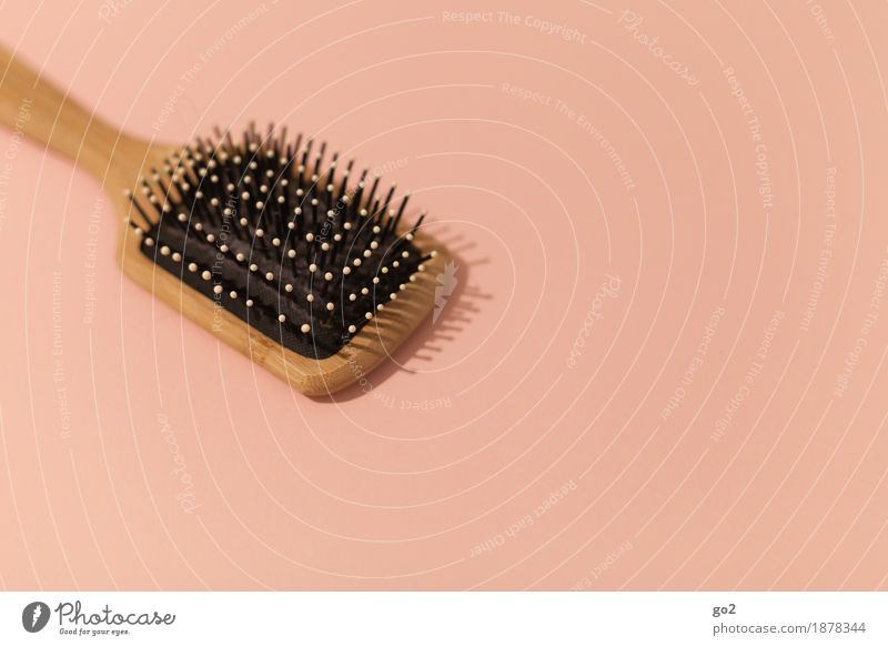 brush Beautiful Personal hygiene Hair and hairstyles Hairdresser Hairbrush Esthetic Simple Brown Colour photo Interior shot Studio shot Close-up Deserted