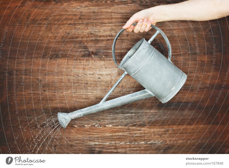 Watering Hand holding holds Watering can Tin Gray Pour pouring Sprinkle Gardening Unrecognizable Wall (building) Object photography