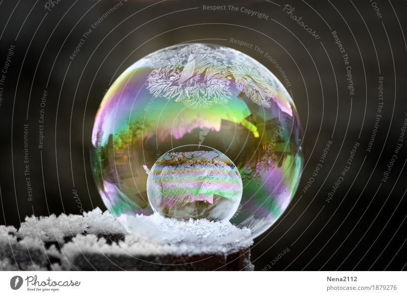 freezing Nature Winter Climate Weather Ice Frost Snow Cold Round Multicoloured White Soap bubble Prismatic colors Sphere Spherical Pattern Art Colour photo