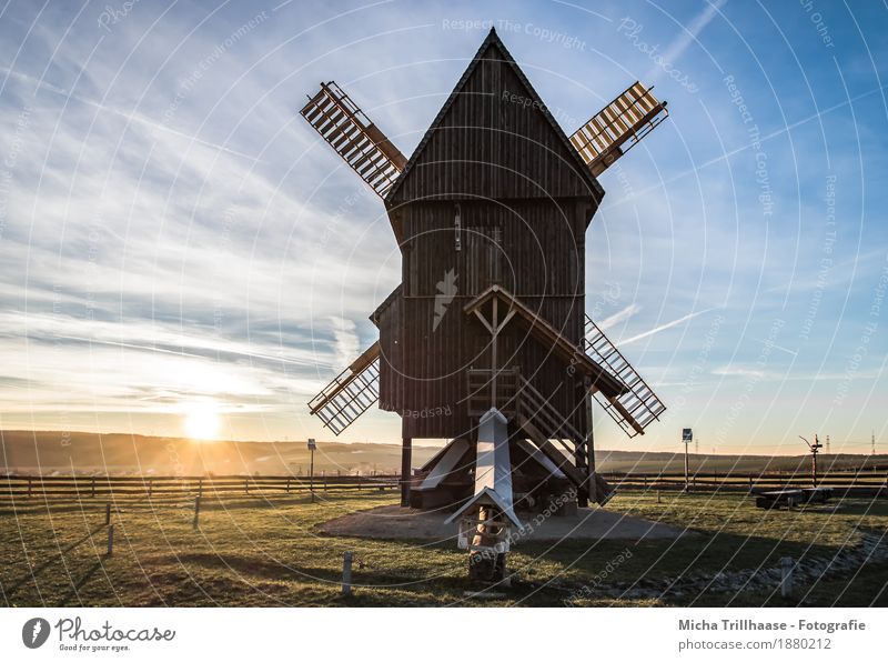Windmill and sunny landscape Grain Agriculture Forestry Craft (trade) Technology Mill Environment Nature Landscape Sky Clouds Sun Sunrise Sunset Sunlight