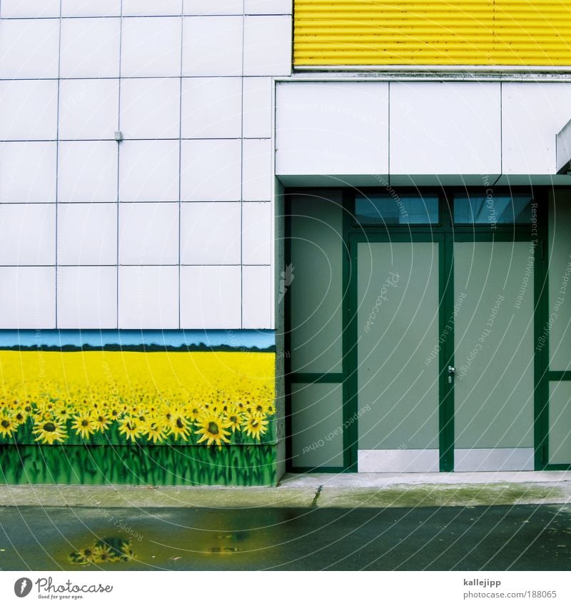 flourishing landscapes Environment Plant Flower Foliage plant Agricultural crop Wild plant Meadow Field House (Residential Structure) Facade Yellow