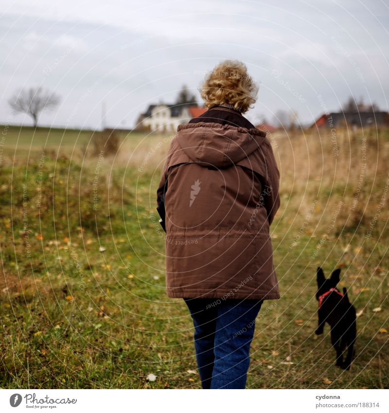 stroll Life Well-being Relaxation Calm Hiking Human being Female senior Woman Senior citizen Environment Nature Landscape Autumn Meadow Dog Movement Freedom