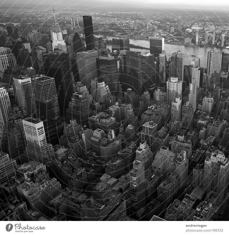New York Downtown Skyline Overpopulated Landmark Living or residing Crazy Black & white photo Exterior shot Deserted Evening Bird's-eye view Downward Town
