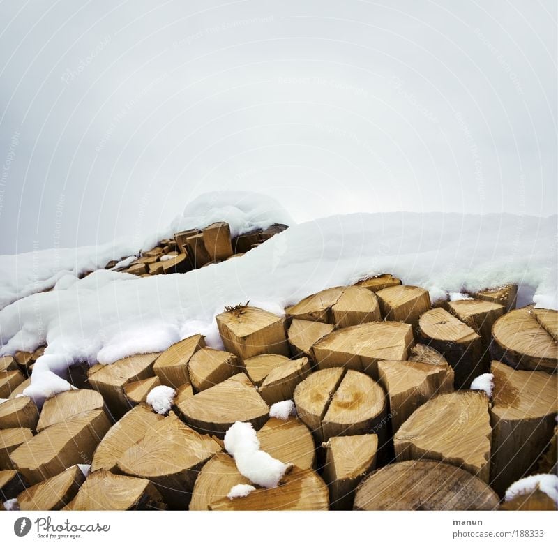 firewood Well-being Woodcutter Lumberjack Agriculture Forestry Renewable energy Environment Nature Winter Ice Frost Snow Firewood Sustainability Natural Energy