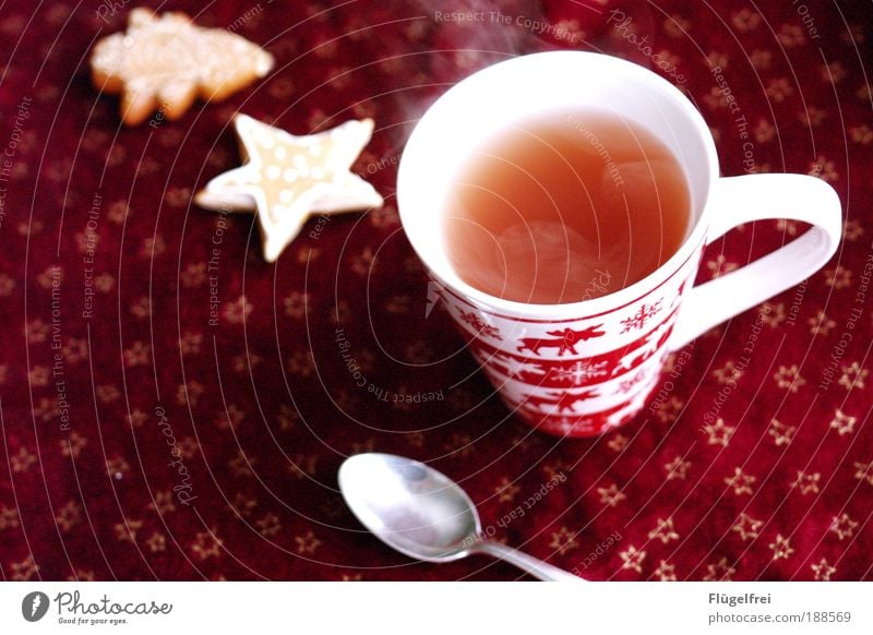 The right thing for the weather Beverage Tea Drinking Cozy Relaxation Elk Cookie Stars Fir tree Steam Cutlery Spoon Winter To enjoy Hot drink Cup Red Go up