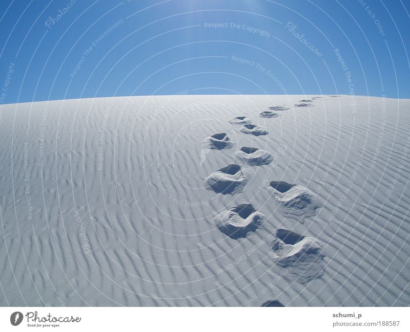 Traces in the white sand Nature Landscape Sand Summer Beautiful weather Hill Desert White Sands USA Americas Overpopulated Deserted Looking Blue Loneliness