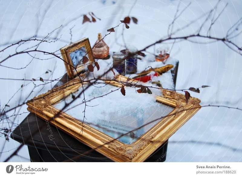 You're ice... ice cold. Garden Redecorate Arrange Table Mirror Environment Winter Ice Frost Snow Tree Leaf Tin Wood Gold Drop Freeze Faded Elegant Fresh