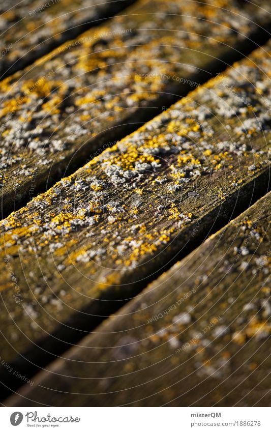 Sea bottom. Art Esthetic Ground Wooden floor Gray (horse) Decompose Sea water Baltic Sea Wooden board Decent Colour photo Multicoloured Exterior shot Close-up