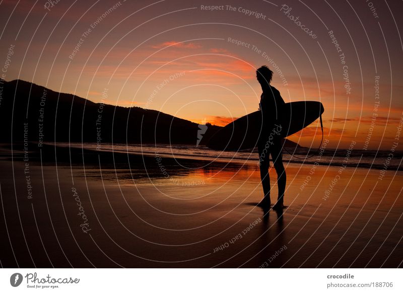 Endless buzzer Lifestyle Far-off places Beach Ocean Island Waves Sports Aquatics Surfing Surfer Surfboard Human being Masculine Young man Youth (Young adults) 1