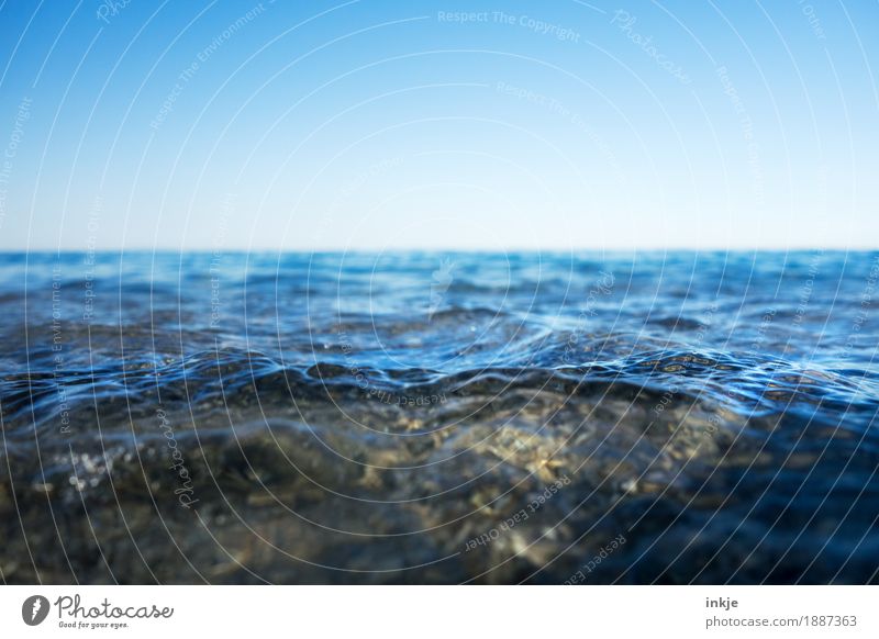 shallow Environment Nature Landscape Elements Water Sky Cloudless sky Horizon Beautiful weather Waves Coast North Sea Baltic Sea Ocean Blue Surface of water