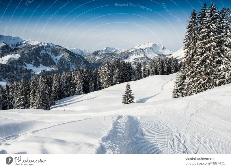 and down it goes Vacation & Travel Tourism Winter Snow Winter vacation Mountain Skiing Nature Landscape Cloudless sky Alps Snowcapped peak Blue White
