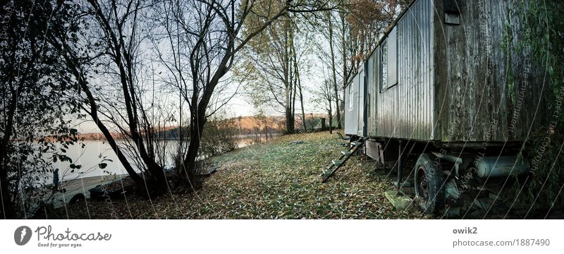 out Environment Nature Landscape Plant Horizon Beautiful weather Tree Grass Lakeside Site trailer Trashy Calm Panorama (Format) Far-off places Idyll Peaceful