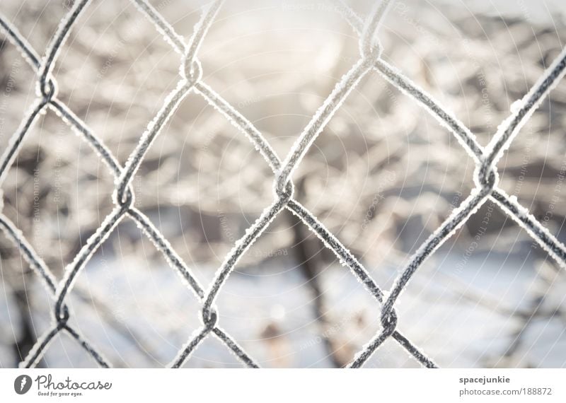 light Nature Landscape Ice Frost Snow Metal Crystal Freeze Captured Grating Fence Wire netting Wire netting fence Colour photo Exterior shot Deserted Light