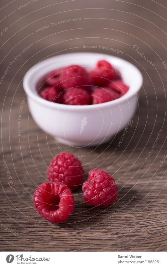 raspberries Food Fruit Nutrition Organic produce Vegetarian diet Nature Summer Plant Bushes Wood Esthetic Pink Red Moody Authentic Colour photo Interior shot