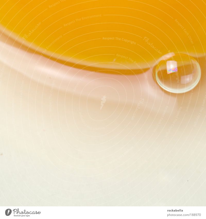 Macro shot egg Food Nutrition Lunch Organic produce Environment Nature Delicious naturally Egg Bubble Yolk Macro (Extreme close-up) Copy Space bottom