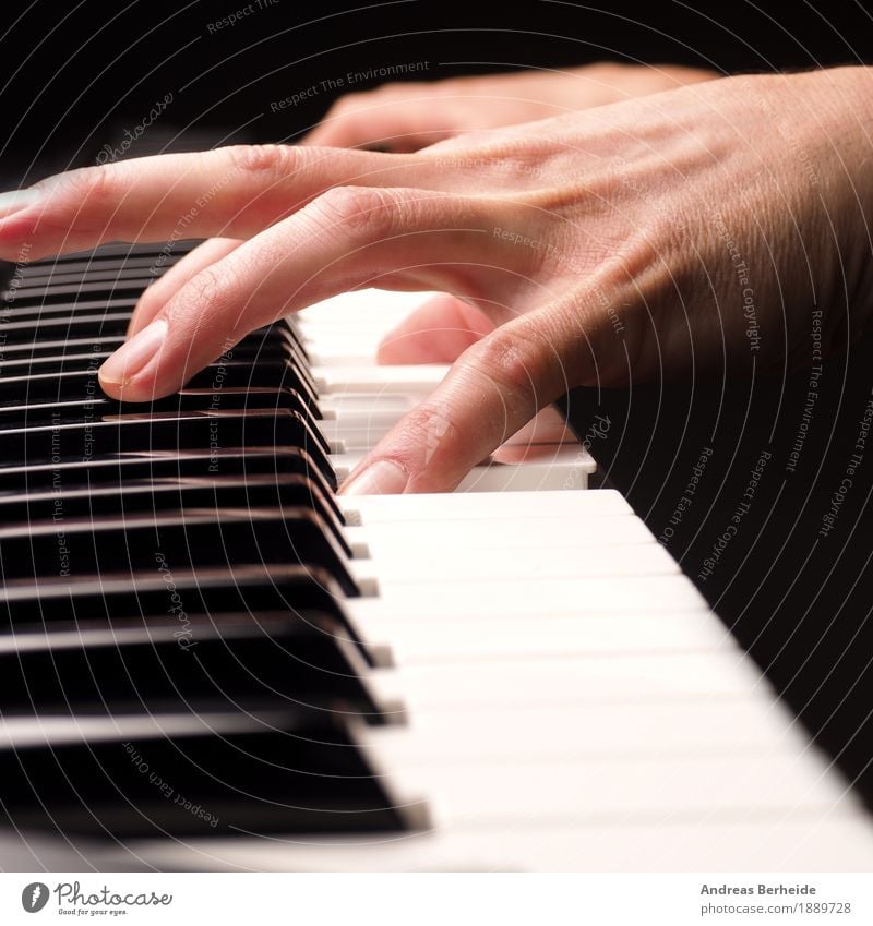 play the piano Leisure and hobbies Music Human being Hand 1 Piano Joy playing hands old tool Maldives player Musical older keys black caucasian white
