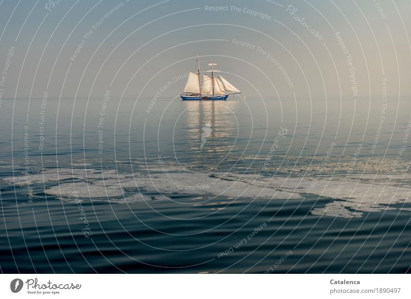 Enjoy | when time stands still Joy Freedom Summer vacation Sailing Water Sky Horizon Beautiful weather North Sea Sailing ship Glittering To enjoy To swing