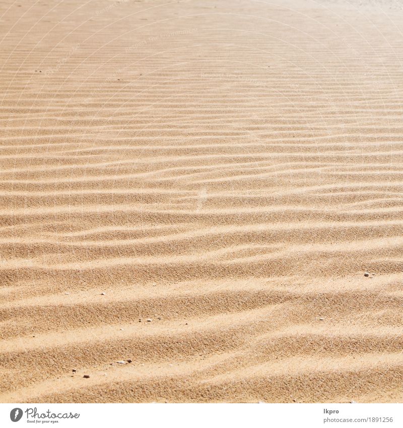 old desert and the empty quarter Design Summer Beach Ocean Environment Nature Earth Sand Climate Weather Drought Coast Hot Brown Yellow Gray Black White Death