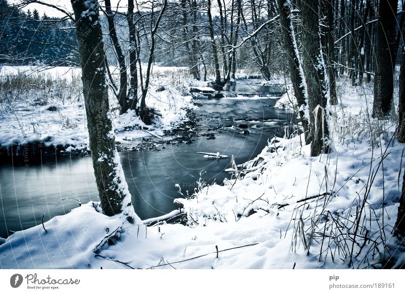 -7° Environment Nature Landscape Water Winter Ice Frost Snow Tree Brook River Valley Clearing Forest Grief Loneliness Calm January February Relaxation