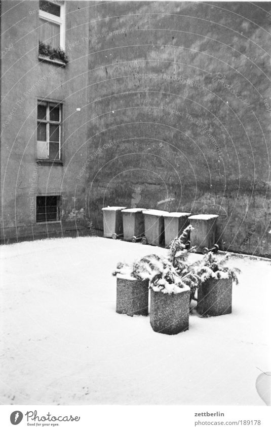 My first backyard Black & white photo Courtyard Backyard Trash Trash container Snow Winter Virgin snow Cold Foliage plant courtyard greening Flowerpot