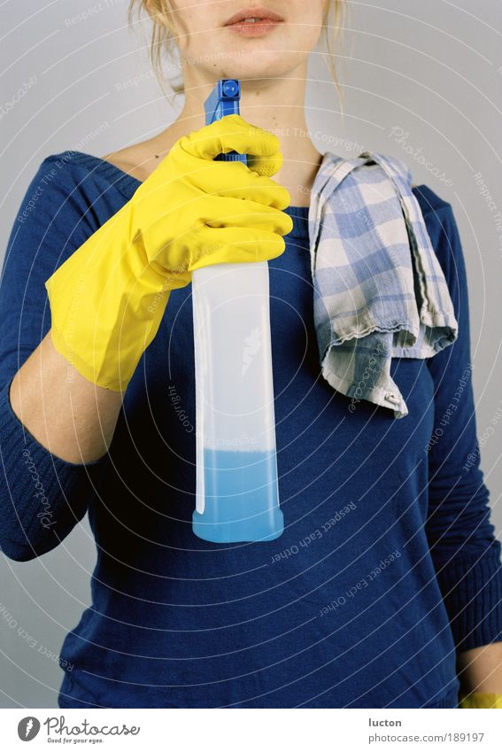young woman in blue sweater with spray bottle, yellow gloves and dish towel Room Work and employment Profession Feminine Young woman Youth (Young adults) Woman