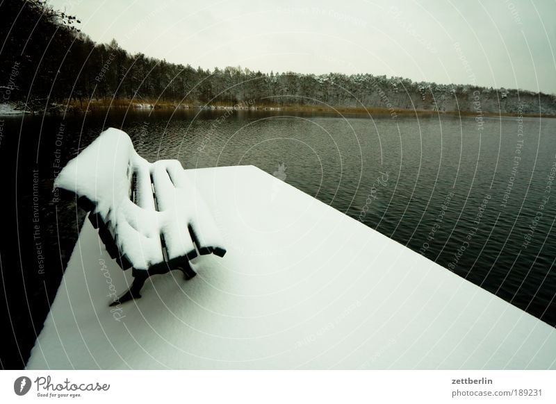 snow at the lake December Snow Snow layer Virgin snow Bench Empty Expressionless Deserted Free Calm Lake Water Surface of water Coast Lakeside Forest Footbridge