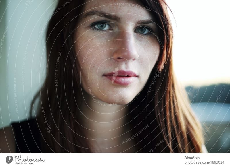 Portrait of a young, freckled woman at the window pretty Face Window Young woman Youth (Young adults) Freckles 18 - 30 years Adults Horizon Beautiful weather