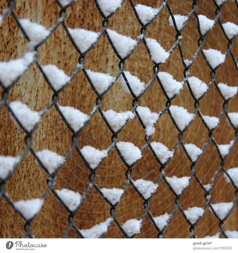wire mesh fence Environment Winter Snow Brown Wire Fence Wire netting fence Rust Tin Freedom Fenced in Far-off places To distance Colour photo Exterior shot