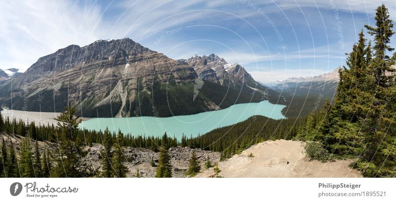 Peyto Lake Environment Nature Landscape Plant Sand Clouds Summer Beautiful weather Tree Spruce Coniferous trees Mountain River Discover Hiking Blue Turquoise