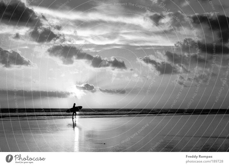 After Surfing Leisure and hobbies Sports Human being 1 Nature Landscape Beach Joy Tourism Black & white photo Exterior shot Dawn