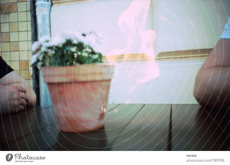 Interpersonal fire Human being Masculine Arm Hand 2 Warmth Flowerpot Tile Wooden table Flame Social Tension Vignetting Symbols and metaphors Relationship