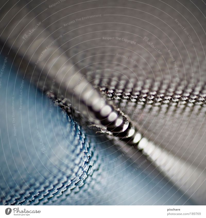 What am I? pischarean Blur Shallow depth of field Copy Space top Point Diagonal Macro (Extreme close-up) Close-up Line Pattern Structures and shapes Blue Gray