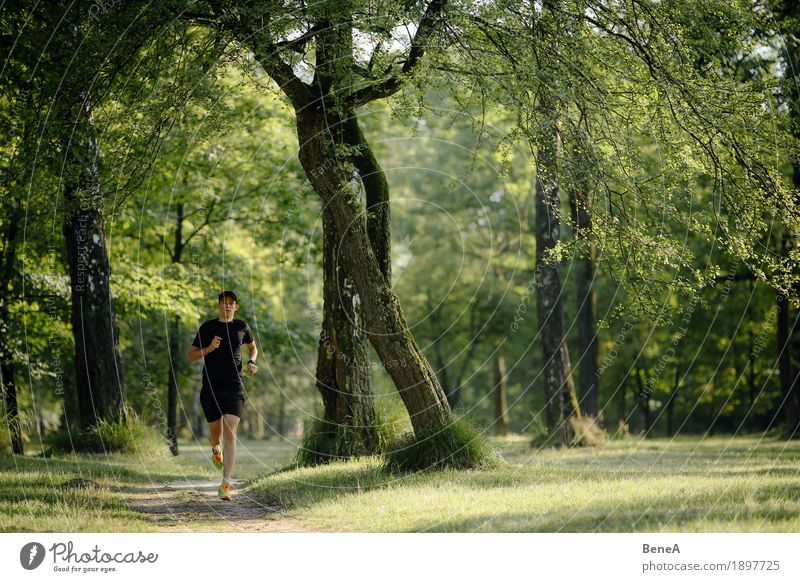 Running in the park Summer Jogging Nature Park Fitness Jump Action Athlete Sportsperson Runner Walking Running sports Grass Green Healthy Landscape Tree Forest