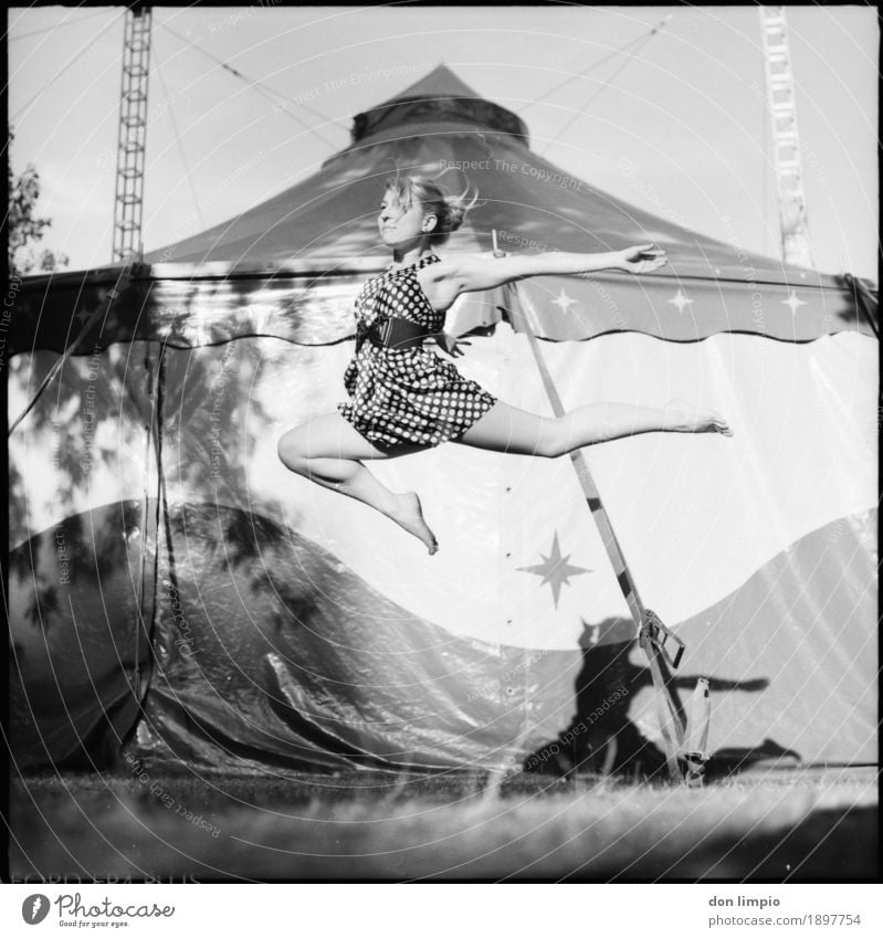 never want to put my feet back down on the ground Elegant Feminine Young woman Youth (Young adults) 1 Human being Dancer Circus Tent Flying Fantastic Beautiful