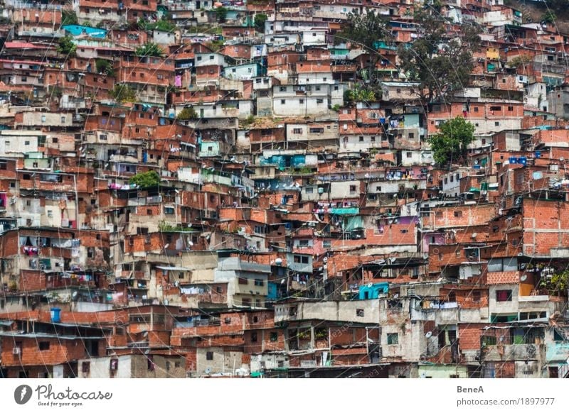 Barrio / Favela / Slum in Caracas, Venezuela Overpopulated Poverty Chaos Exotic Town favela Slum area Architecture Criminality barrio Closed Quarter Neighbor